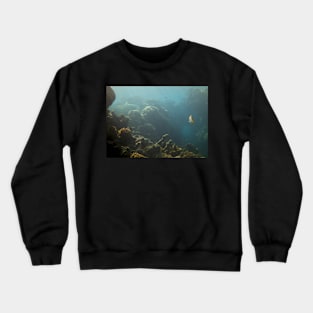 Underwater View Crewneck Sweatshirt